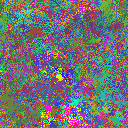 World at epoch 40000