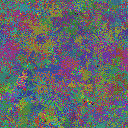 World at epoch 31000