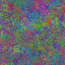 World at epoch 25000