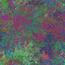 World at epoch 40000