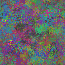 World at epoch 40000