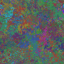 World at epoch 35000