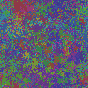World at epoch 35000