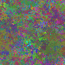 World at epoch 35000