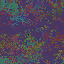 World at epoch 40000
