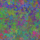 World at epoch 25000