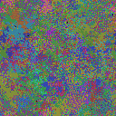 World at epoch 25000