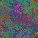World at epoch 38000