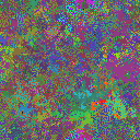 World at epoch 39000