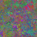 World at epoch 35000
