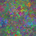 World at epoch 40000