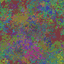 World at epoch 40000