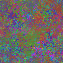 World at epoch 25000