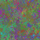 World at epoch 26000
