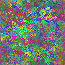 World at epoch 24000