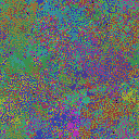 World at epoch 31000