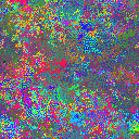 World at epoch 25000