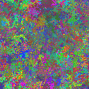 World at epoch 25000