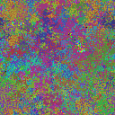 World at epoch 31000