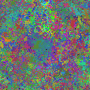 World at epoch 25000