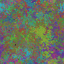 World at epoch 28000