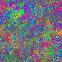 World at epoch 40000