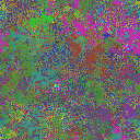 World at epoch 35000