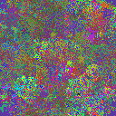World at epoch 31000