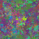 World at epoch 29000