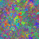 World at epoch 31000