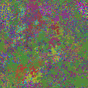 World at epoch 37000