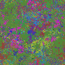 World at epoch 39000