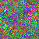 World at epoch 40000