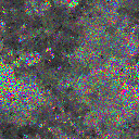 World at epoch 23000