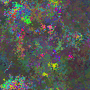 World at epoch 22000
