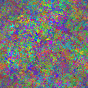 World at epoch 37000