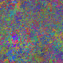 World at epoch 40000