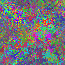World at epoch 39000