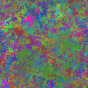 World at epoch 25000