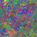 World at epoch 35000