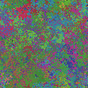 World at epoch 25000