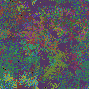 World at epoch 34000