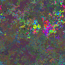 World at epoch 23000