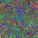 World at epoch 38000
