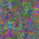 World at epoch 40000
