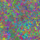 World at epoch 25000