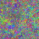 World at epoch 25000