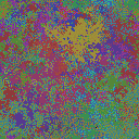 World at epoch 39000
