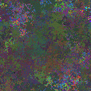 World at epoch 25000