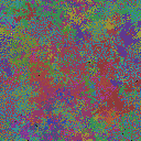 World at epoch 40000